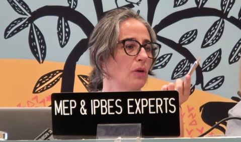 Victoria Reyes García, de l'ICTA-UAB, a la presentació de l'informe IPBES